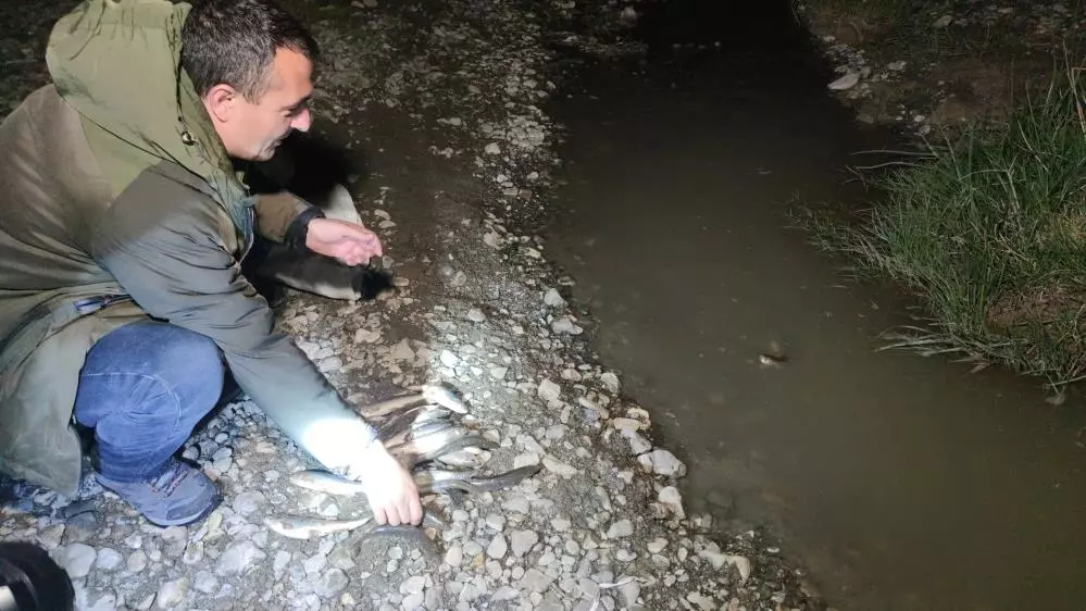 Van'da kaçak avlanmış 100 kilo canlı balık suya bırakıldı