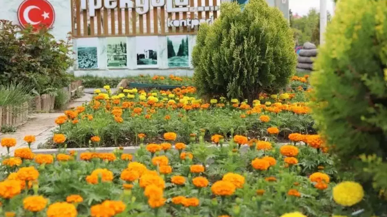 İpekyolu’nda çiçekler toprakla buluşturuluyor