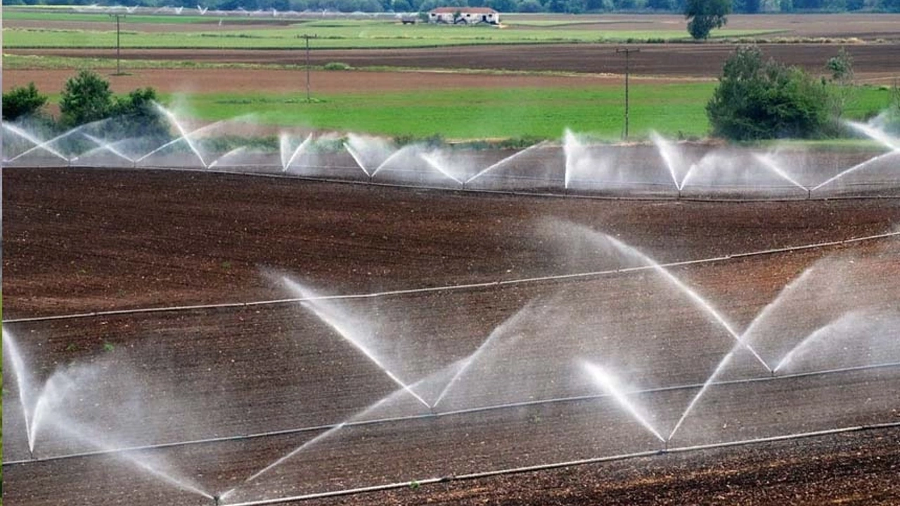 Van’dan 55 başvuru yapılmıştı Tamamına onay çıktı!