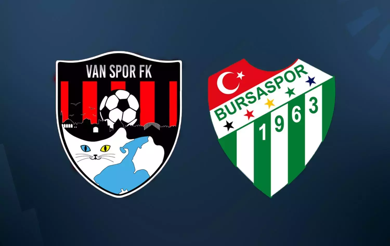 Vanspor Bursaspor maçı hangi kanalda yayınlanacak?