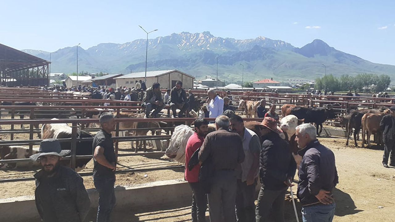 Van’da kurbanlık satışlarında durgunluk hakim