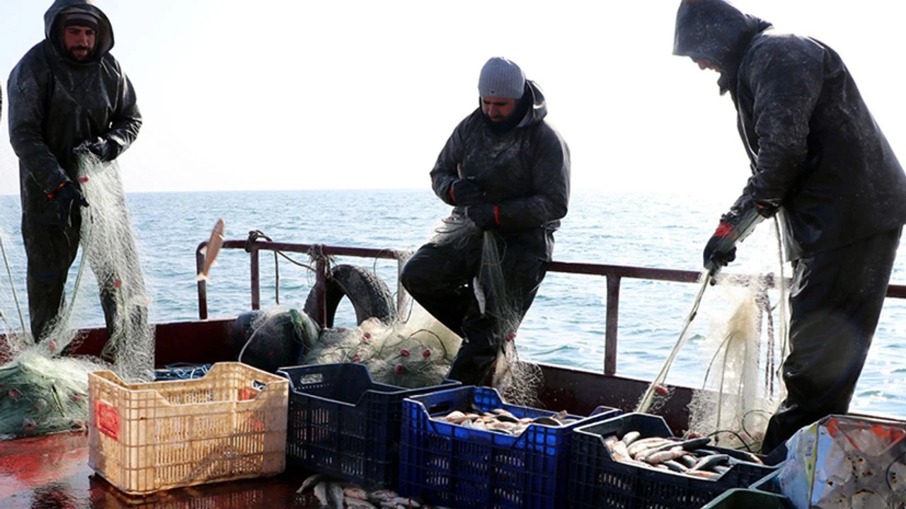 Van Balığı av yasağı sona erdi