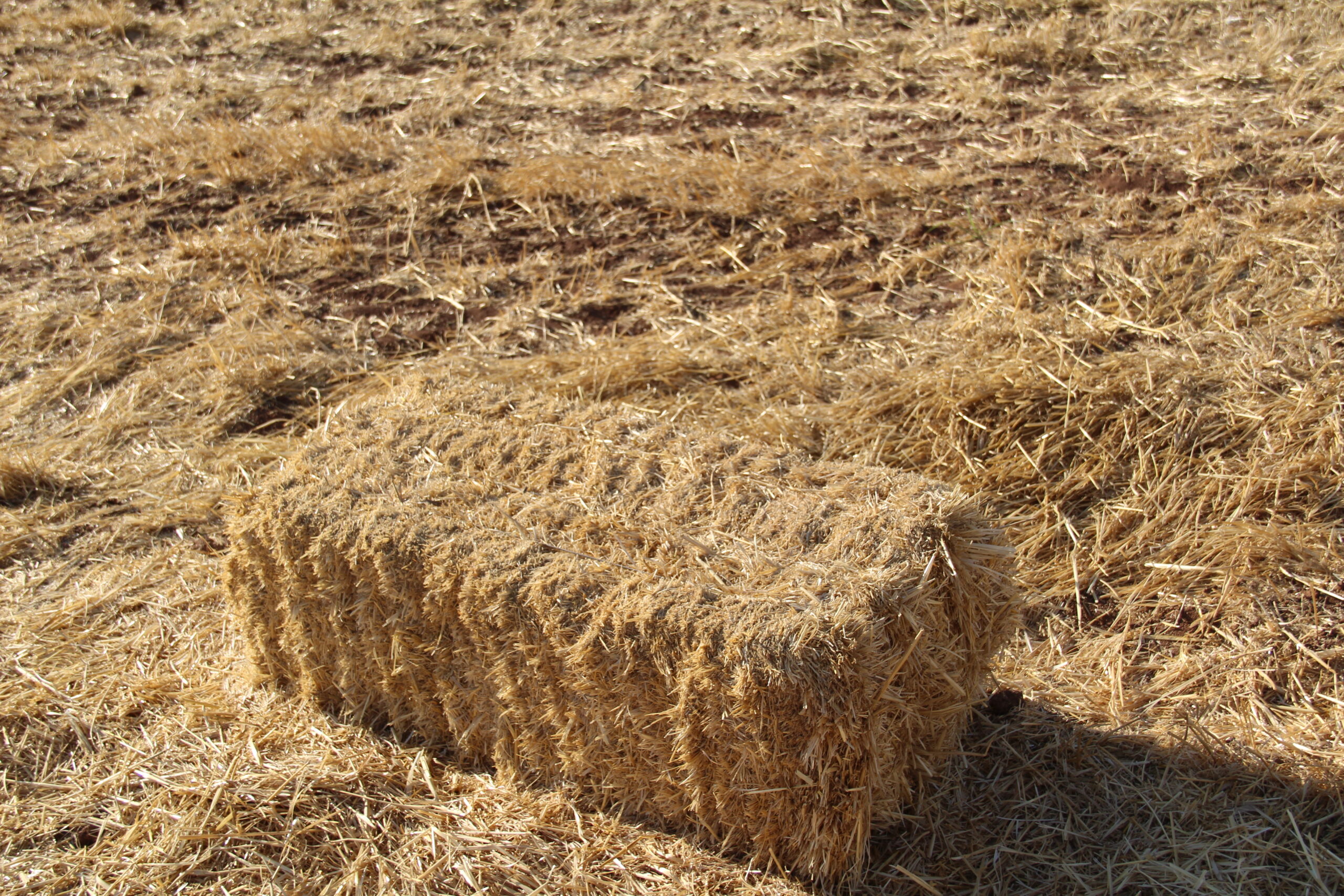 Van'da saman fiyatlarında büyük artış!