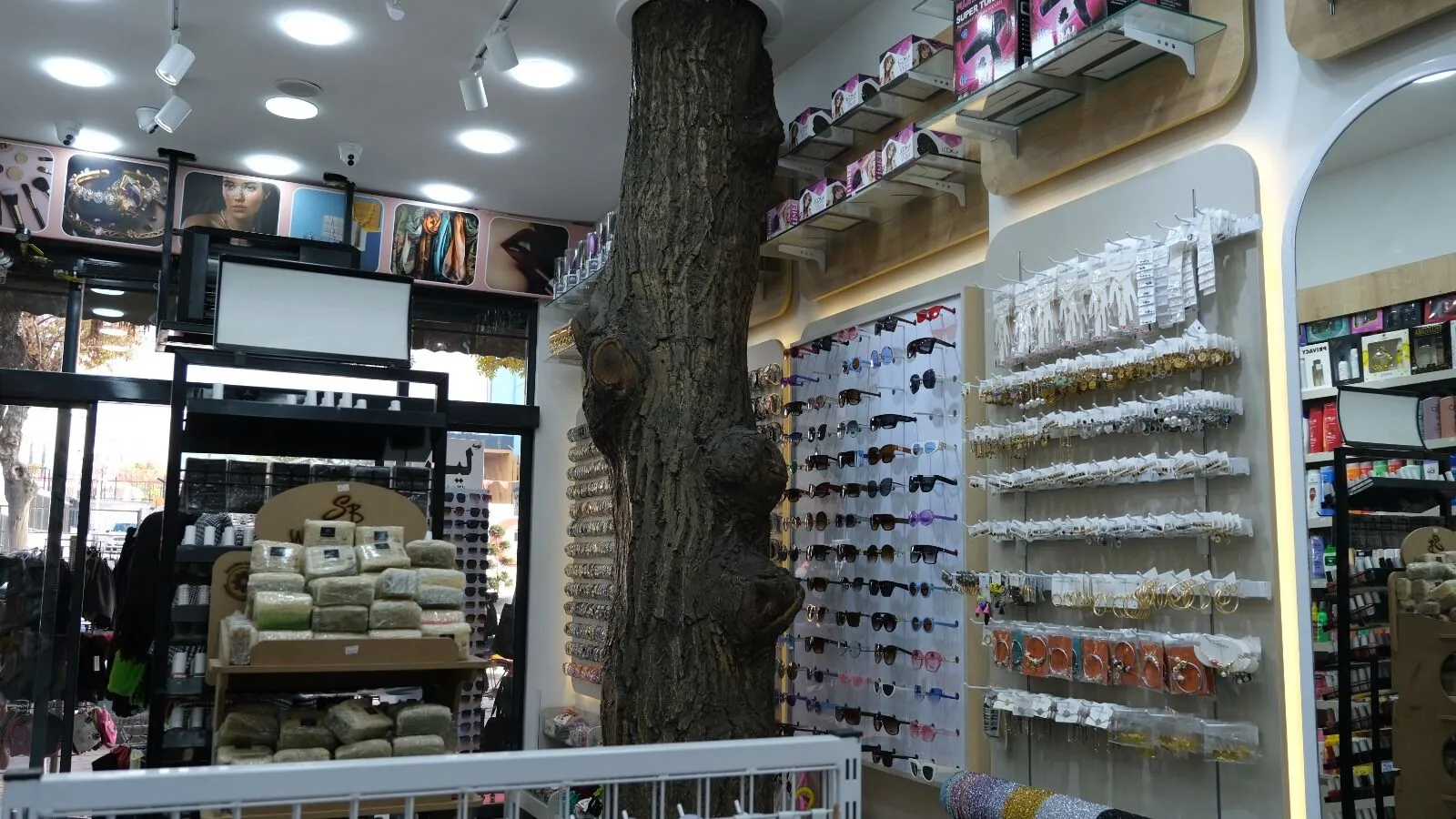 Van’da mağaza içindeki asırlık ağaç ilgi odağı oldu