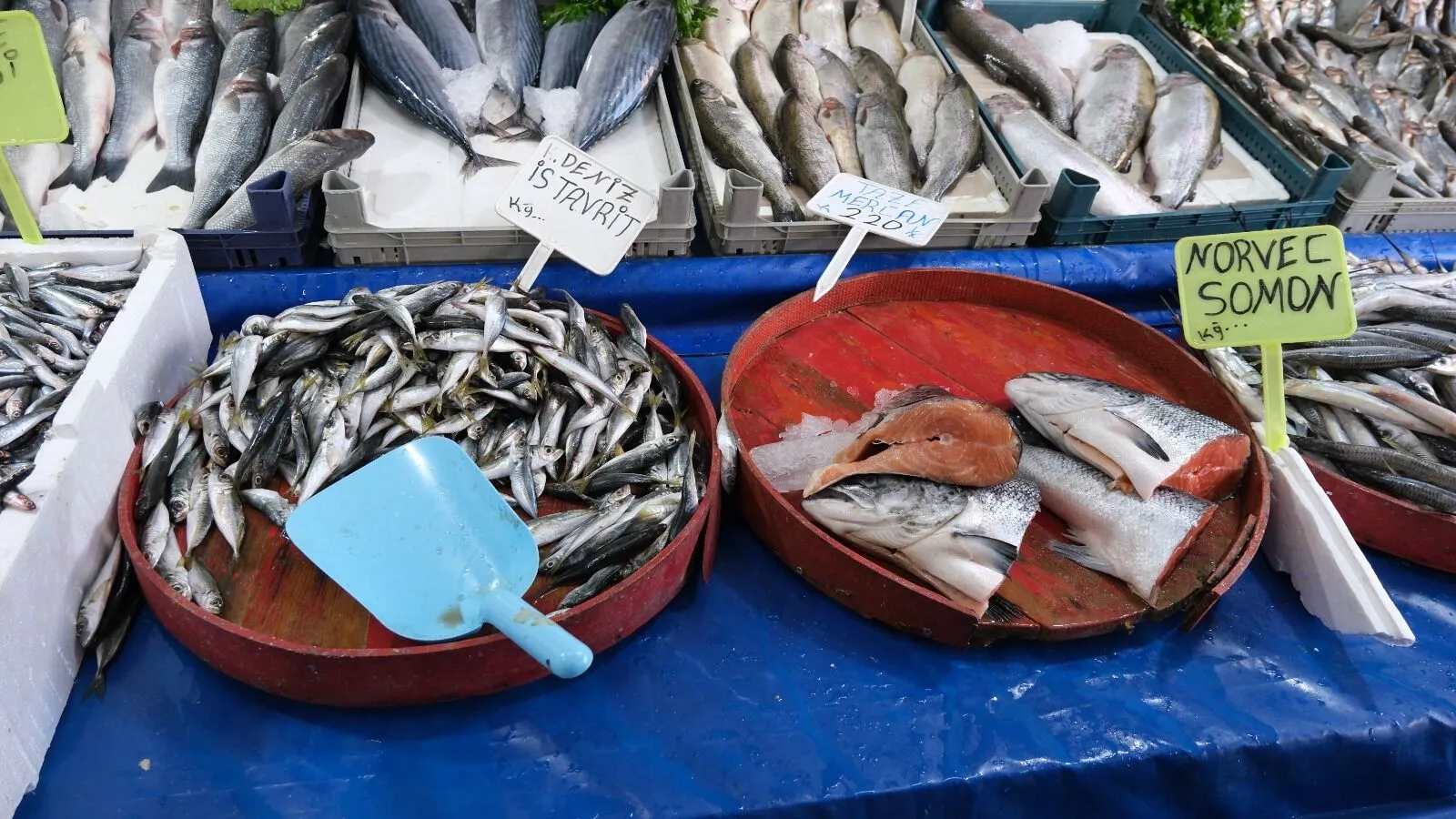 Vanlılar en çok hangi balık çeşidini tüketiyor?