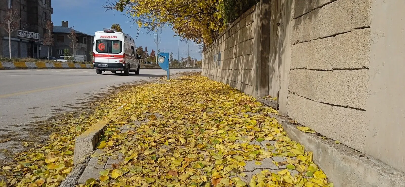 Van sokaklarında sonbahar güzellikleri