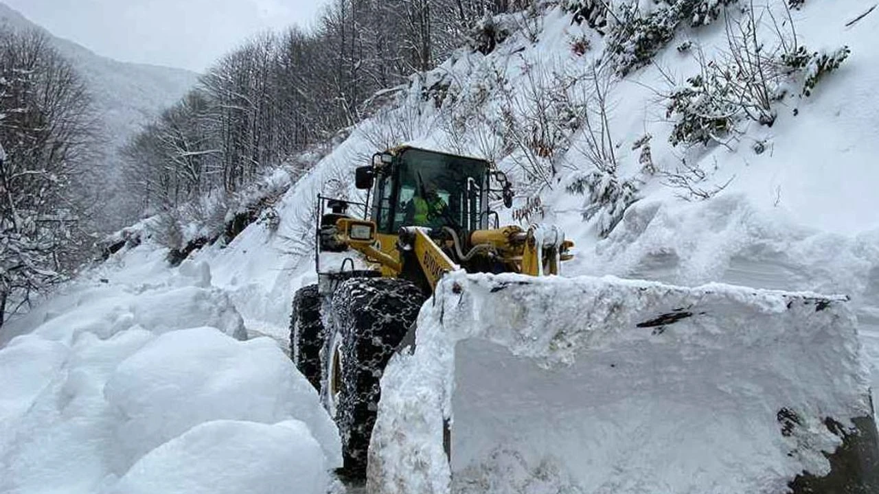 Van'da kar yağışı hayatı olumsuz etkiliyor!