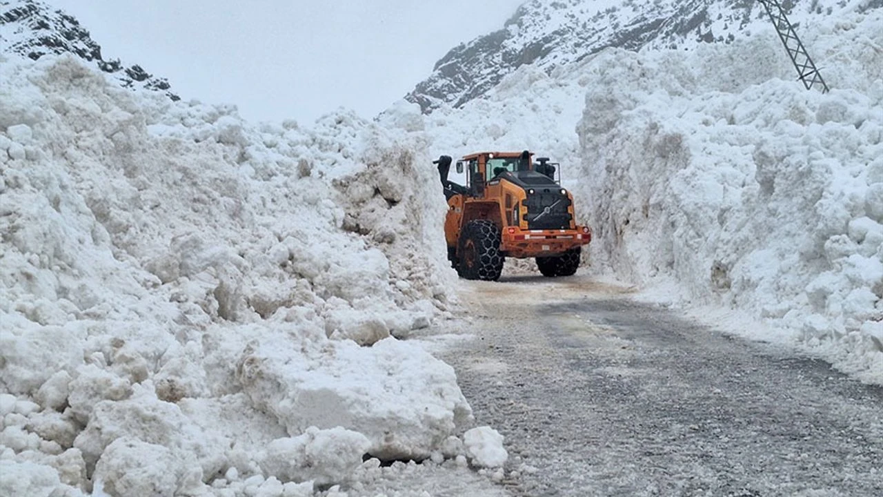 Kar Van’da etkili oldu: 493 yol ulaşıma kapandı