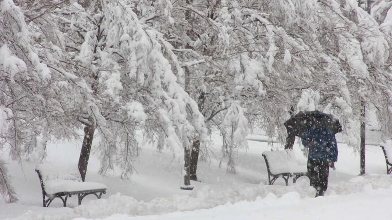 Van’da bugün kar yağacak mı? O ilçeler için uyarı yapıldı