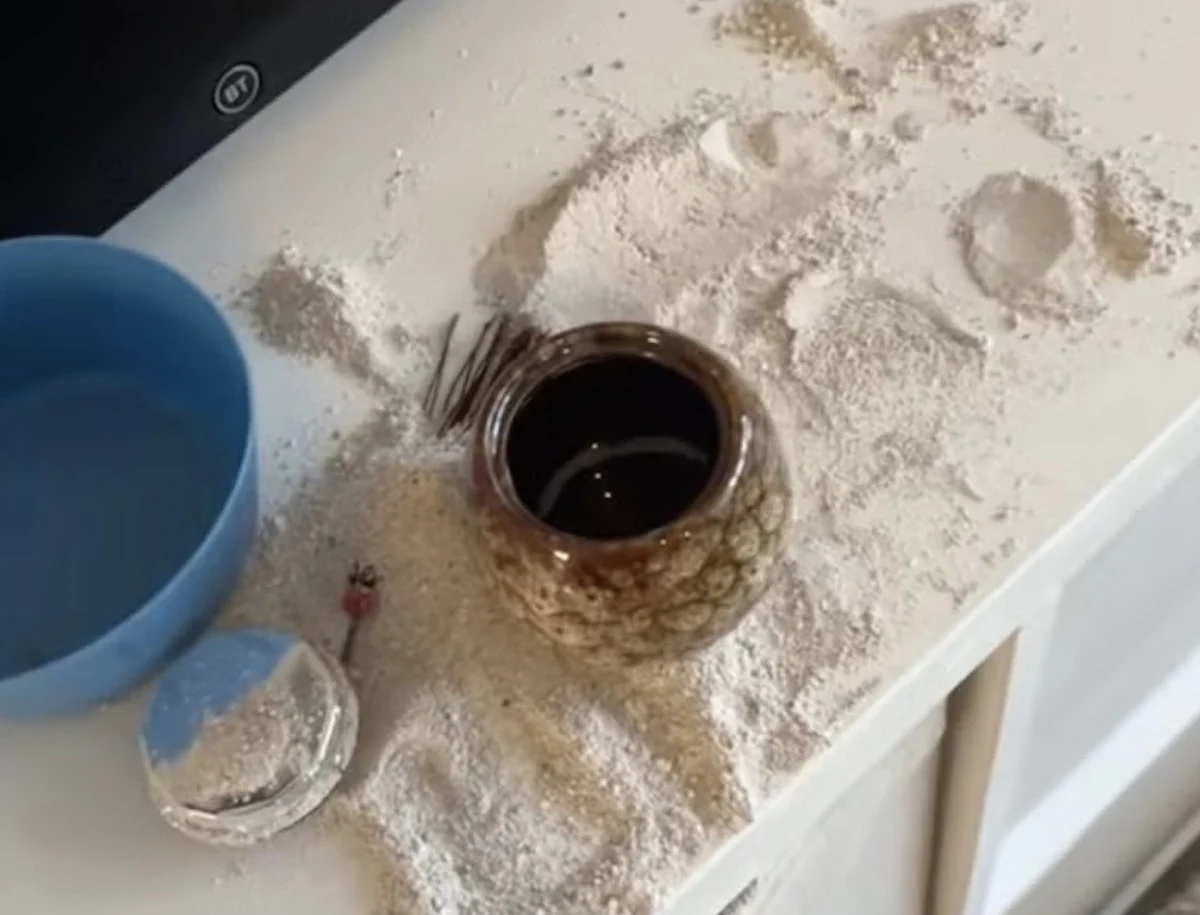 İngiltere'de Bebek Dedesiyle Tanıştı: Külleri Yedi, Sosyal Medyada Gündem Oldu