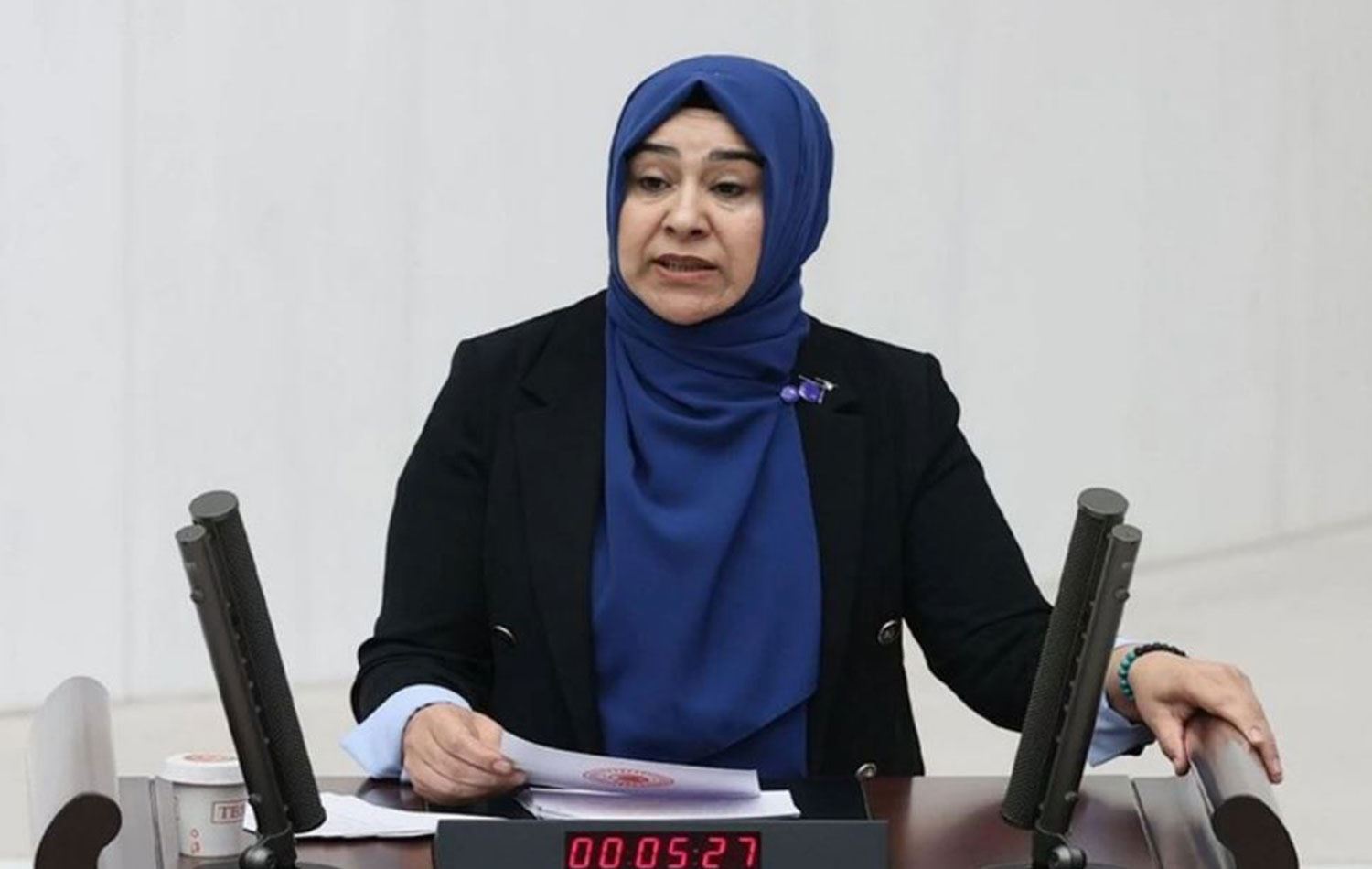 Van Milletvekili Gülderen Varlı’dan Meclis’e Çağrı: Çocuk Yoksulluğu Araştırılsın!