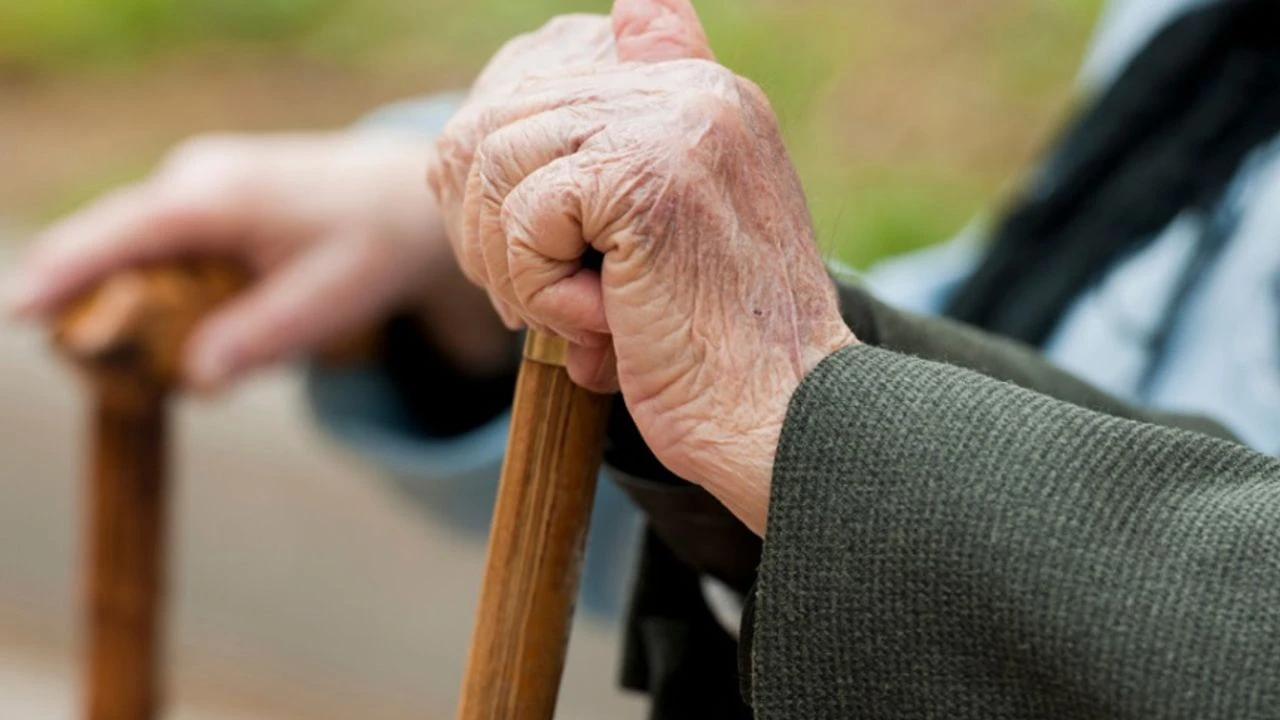 Van'ın aktif yaşlanma endeksi açıklandı