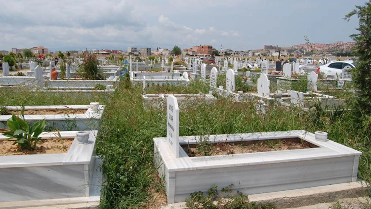 Van, Ölüm Hızının En Düşük Olduğu İller Arasında Yer Aldı!