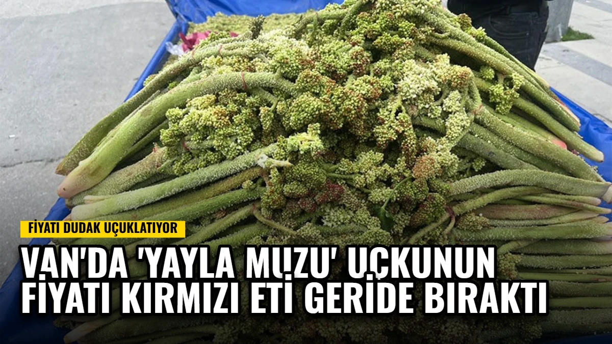 Van'da 'Yayla Muzu' Uçkunun Fiyatı Kırmızı Eti Geride Bıraktı