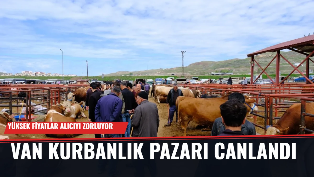 Van Kurbanlık Pazarı Canlandı: Yüksek Fiyatlar Alıcıyı Zorluyor