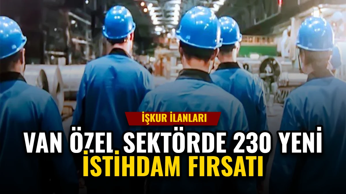 Van Özel Sektörde 230 Yeni İstihdam Fırsatı: İşkur İlanları